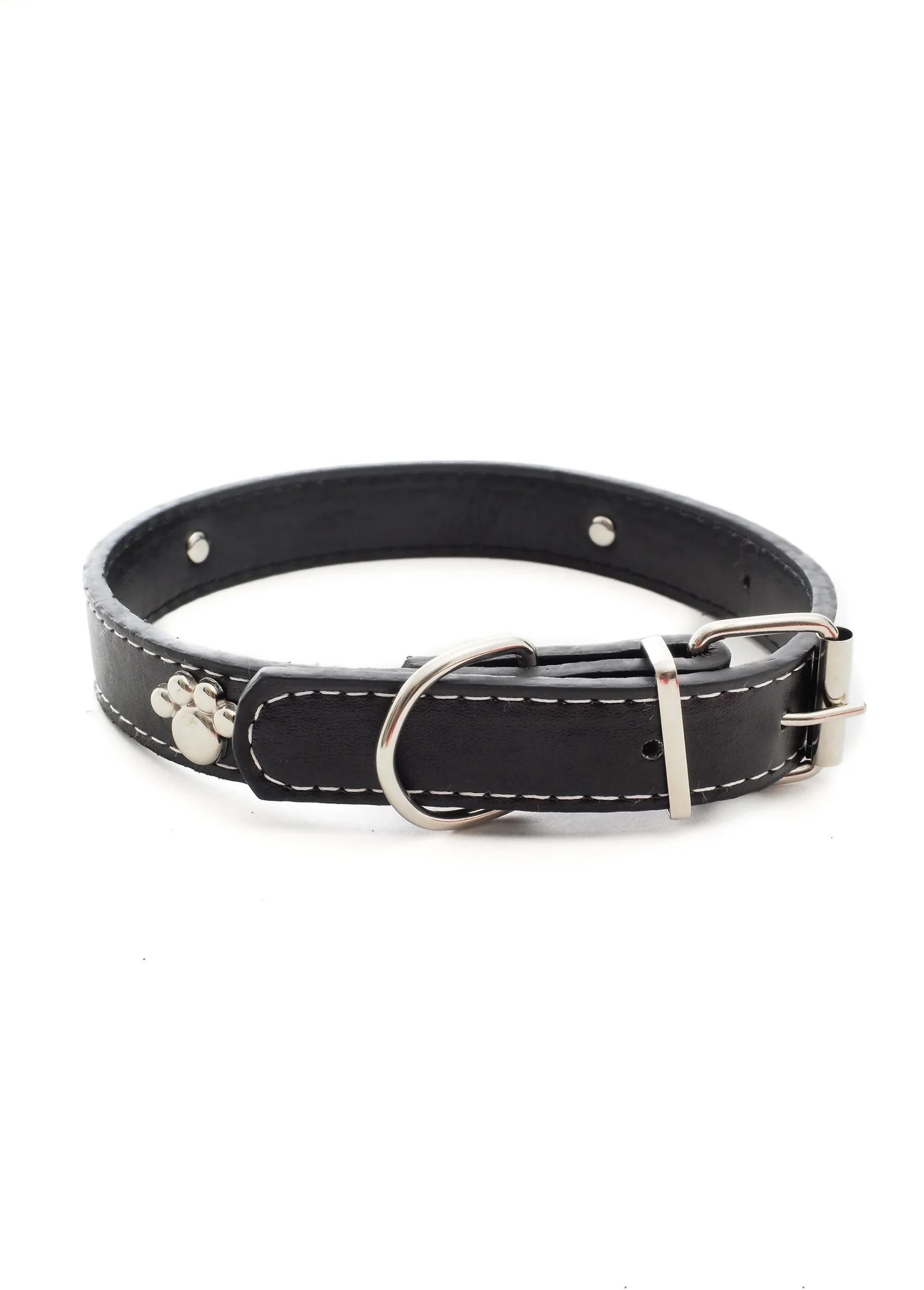 Collier pour animaux motif patte